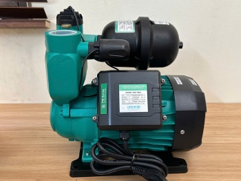 UPTI - Máy bơm tăng áp PW-800A-0.8KW-220V (800W - 220V)